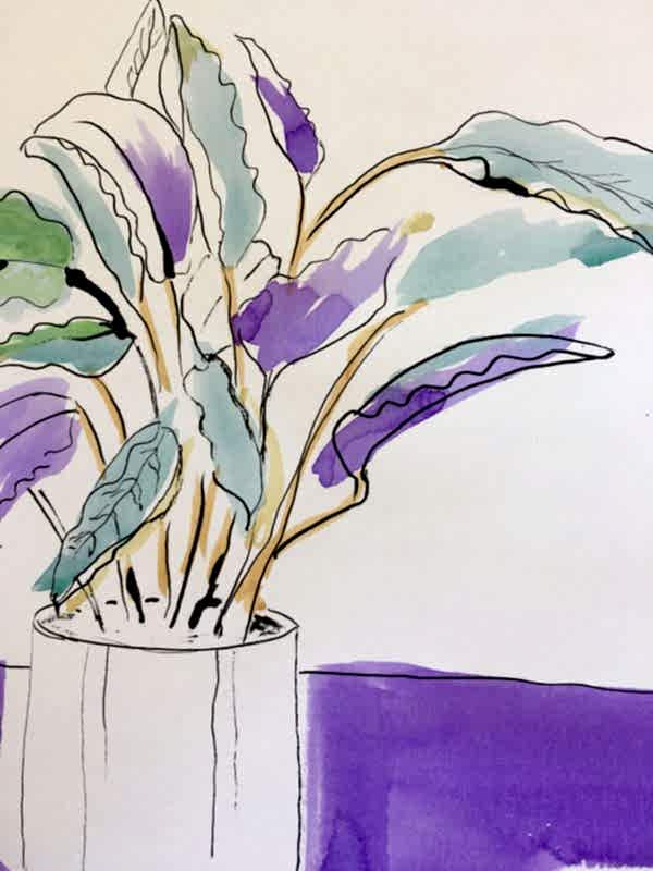 Studio Yellow - Watercolour 6